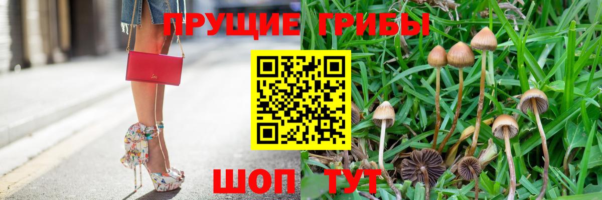 Галлюциногенные грибы мухоморы Бийск