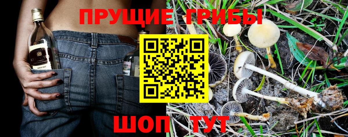 Бийск  Галлюциногенные грибы MAGIC MUSHROOMS  Вход с VPN 